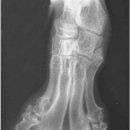 고양이미용호텔_미야옹 이미지