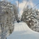 다가와스포츠 이미지