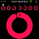 피티포유 이미지