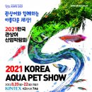 한국관상어