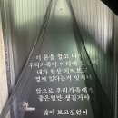 남구-30 | [대구남구] 애견 위생목욕 마이펫30후기 + 애견동반카페 후기