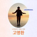 스마일여행사 이미지