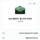 코리아현대모터스 | 포항:울산 2024 코리아컵 결승전 직관 후기. 2025년은?