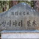 발왕산 산행(엄홍길길)과 millbridge를 찾아서~ 이미지