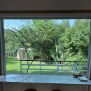 숲의동화 | 충청도 숙소 추천 예산 숲의동화에서 숯불바베큐와 불멍까지 힐링하고 온 솔직후기