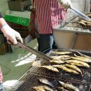 벗길민박 이미지