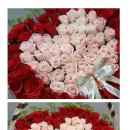 오투 플라워 이미지