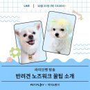 라이브펫 이미지