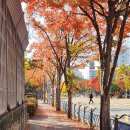 (유)서해도시산업 | 방방곡곡 로컬 파티 (인천 로컬 페스타 방문 후기)