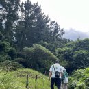 저지오름주차장 이미지