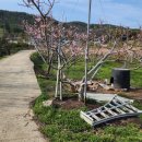 용리농장 이미지