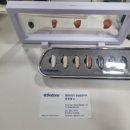 벨톤보청기 성남분당지사 이미지