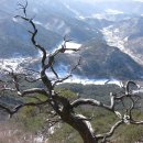 나홀로 신선봉(神仙峰/967m)에 이미지