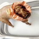 몽띠아모 이미지