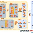 메디뱅크 이미지