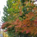 상쾌한항외과의원 | 상쾌한 항외과 다녀왔어요~ 안양 건강검진, 일반검진후기