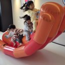 국가대표 별빛 태권도장 이미지