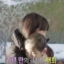 한국미향 이미지