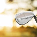 캘러웨이골프 이미지