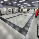 타이거 합기도 이미지