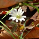 운주산 등산로 이미지