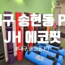 에코피티 이미지