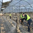 김장섭농장 이미지