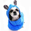 펫프린스애견샵 이미지