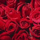 중앙여자중학교 이미지