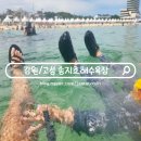 바닷가언덕 민박 | 고성 스노쿨링 명소 송지호해수욕장 텐트 배달 샤워 후기