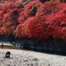 철암농산물 이미지