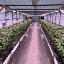 보광이네 이미지