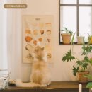 코프키노 이미지