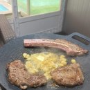 설레인 별 | 가평 애견동반 설레인풀빌라&amp;글램핑 펜션 솔직 후기