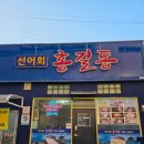 홍길동선어회 | 목포 홍길동선어회 병어조림 예약 방문 후기