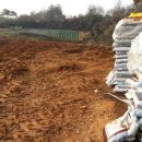 천보농장 이미지