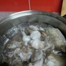 갑오징어짱 이미지