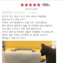 [우수학습곳간] 내가 만드는 건강한 군것질거리 A반 | 다이어트 식단 1위 3개월 사용후기!