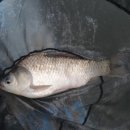 그린낚시터 이미지