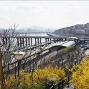 달맞이근린공원 이미지