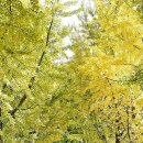 미선축산 이미지