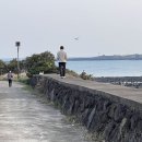 2025년 4월 제주 한달 살기 사진 이미지