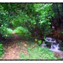 폭포산장펜션 이미지