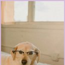 성심동물병원 이미지