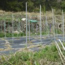 문상농장 이미지