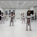 현 태권도장 이미지