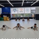 팀 에이스 태권도 이미지