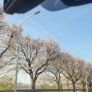 광주 천변길3 이미지