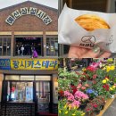 장날 | 충남 예산 가볼만한곳 여행 코스 예산시장 장날 후기 주차 먹거리