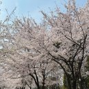 범계역 7번출구(희망공원) 이미지